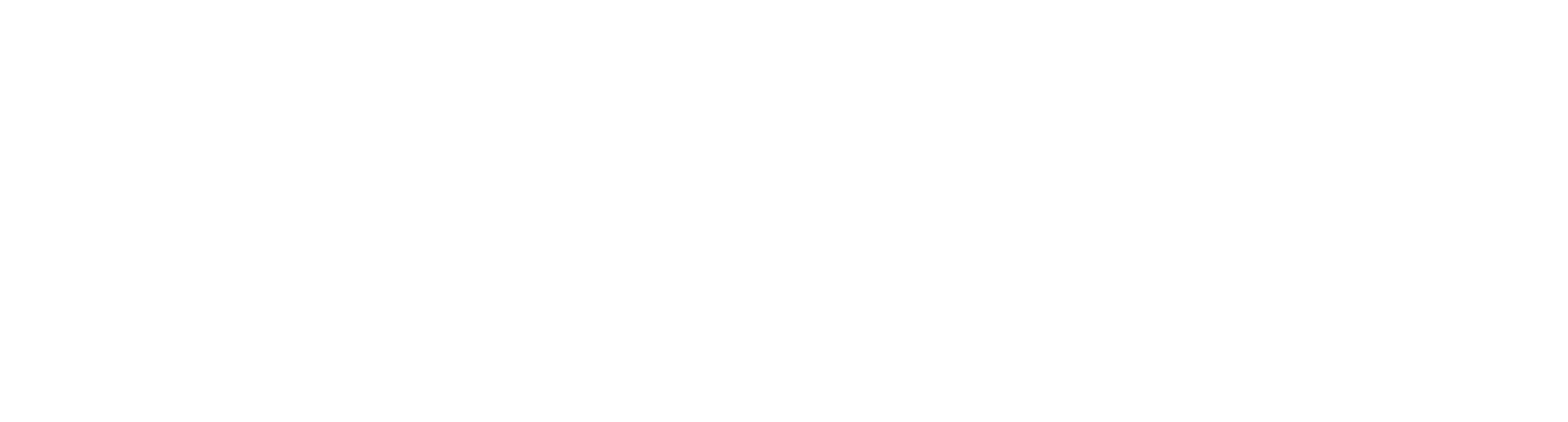 Piero Liventi Logo